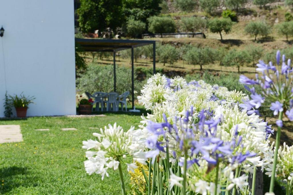 Villa Casa Dos Becos Ribadouro Esterno foto